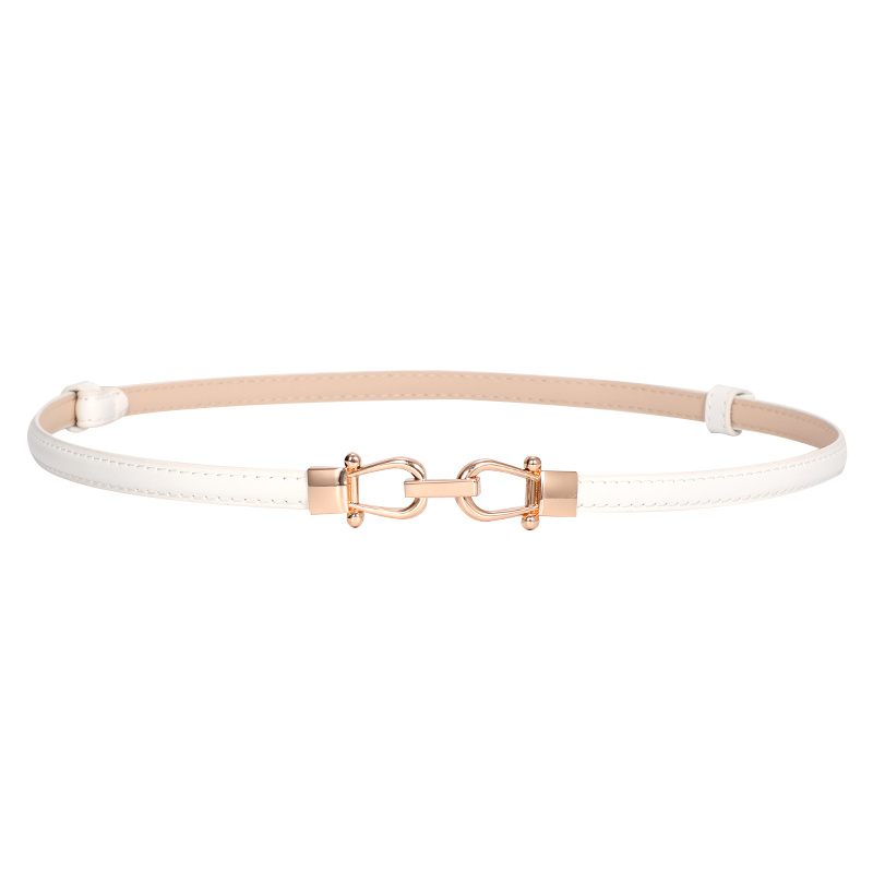 Ai Ag Women's Slim Leather Belt Retro Style for Dresses Sweaters Casual Outfits